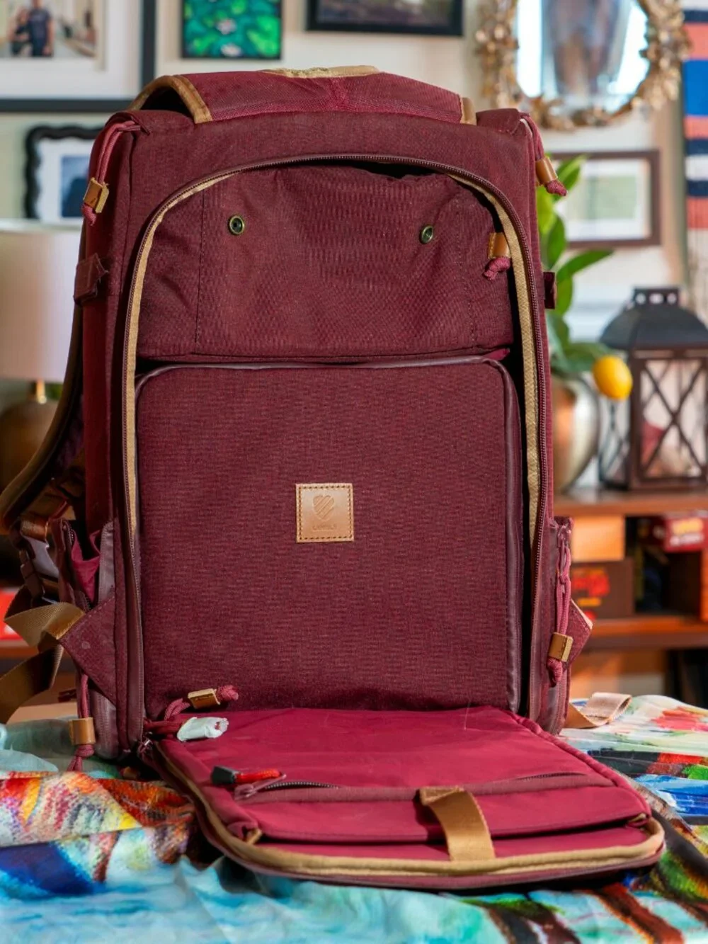 Langly Alpha Compact Camera Backpack